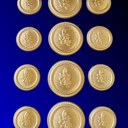 Blazer Jacket buttons acacia gold plated enamel Masonic Freemasonry