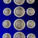 Blazer Jacket buttons acacia circular silver plated enamel Masonic Freemasonry