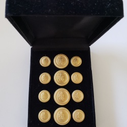 Blazer Jacket buttons acacia gold plated enamel Masonic Freemasonry