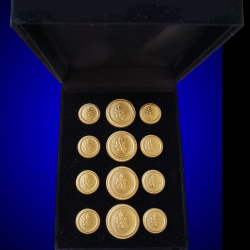 Blazer Jacket buttons acacia gold plated enamel Masonic Freemasonry