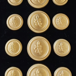 Blazer Jacket buttons acacia gold plated enamel Masonic Freemasonry