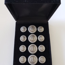 Blazer Jacket buttons acacia circular silver plated enamel Masonic Freemasonry