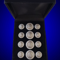 Blazer Jacket buttons acacia circular silver plated enamel Masonic Freemasonry