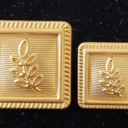 Blazer Jacket button set acacia square gold plated Masonic Freemasonry