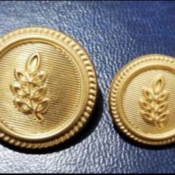 Blazer Jacket button set circular acacia gold plated for Masonic Freemasonry