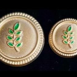 Blazer Jacket button set circular acacia gold plated enamel for Masonic Freemasonry
