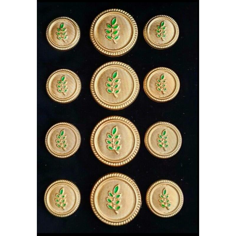 Blazer Jacket button set circular acacia gold plated enamel for Masonic Freemasonry
